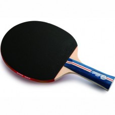 Pálka na stolní tenis DHS 1003