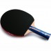 Pálka na stolní tenis DHS 1003