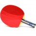 Pálka na stolní tenis DHS 1003