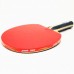 Pálka na stolní tenis DHS 1003