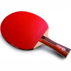 Pálka na stolní tenis DHS 2002