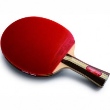 Pálka na stolní tenis DHS 3002