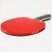 Pálka na stolní tenis DHS 3002