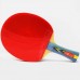 Pálka na stolní tenis DHS 3002