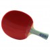 Pálka na stolní tenis DHS 5002