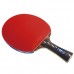 Pálka na stolní tenis DHS 5002C