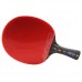 Pálka na stolní tenis DHS 5002C