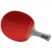 Pálka na stolní tenis DHS 6002