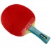 Pálka na stolní tenis DHS 6002