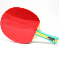 Pálka na stolní tenis DHS S202