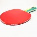 Pálka na stolní tenis DHS S202