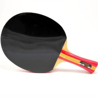 Pálka na stolní tenis DHS S203