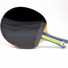 Pálka na stolní tenis DHS S302