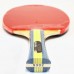 Pálka na stolní tenis DHS S302