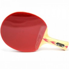 Pálka na stolní tenis DHS S402